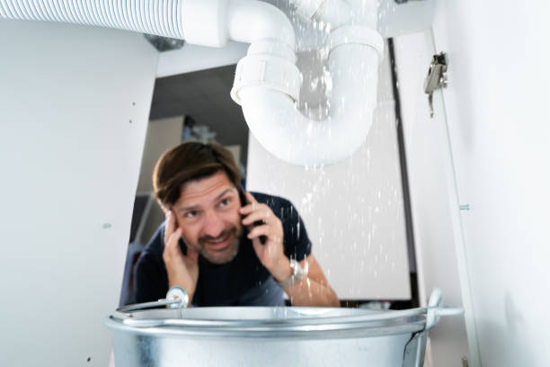 Best Plumbing Inspection Services  in Kodi, AK