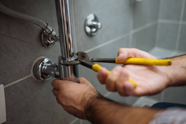 Best Clogged Drain Plumber  in Kodi, AK